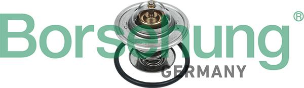 Borsehung B18265 - Coolant thermostat / housing car-mod.net