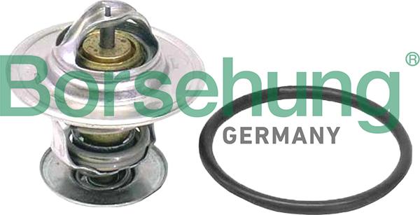 Borsehung B18262 - Coolant thermostat / housing car-mod.net