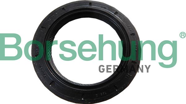 Borsehung B18791 - Shaft Seal, manual transmission flange car-mod.net