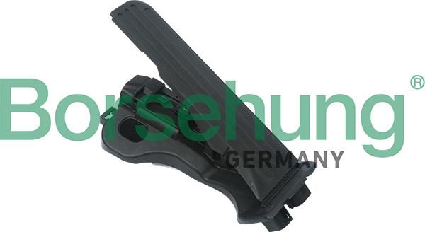 Borsehung B18725 - Accelerator Pedal Kit car-mod.net
