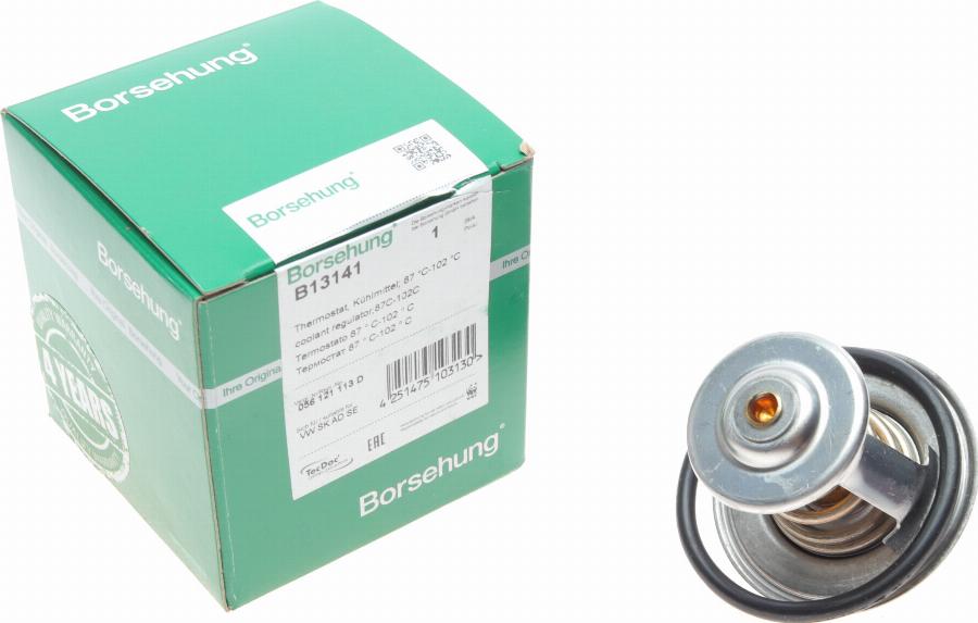 Borsehung B13141 - Coolant thermostat / housing car-mod.net