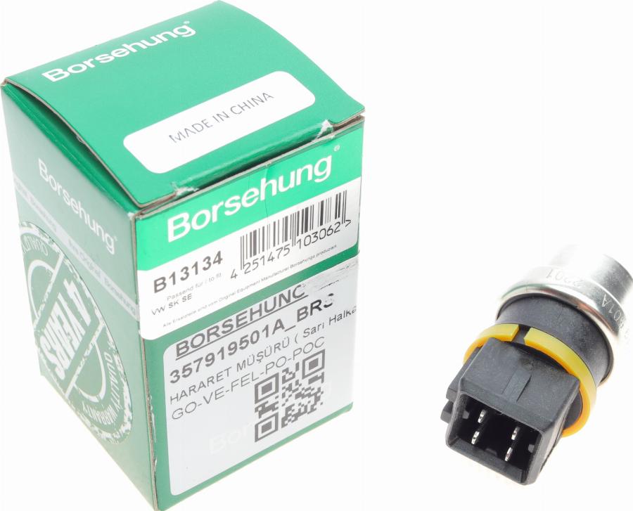Borsehung B13134 - Coolant temperature Sensor car-mod.net