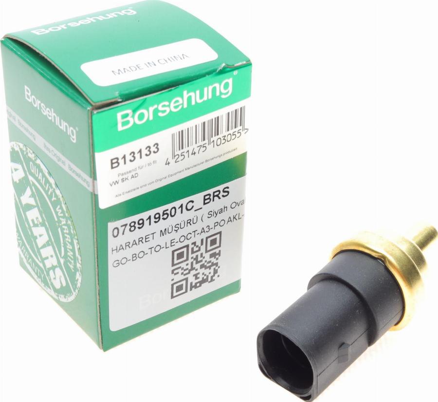 Borsehung B13133 - Coolant temperature Sensor car-mod.net