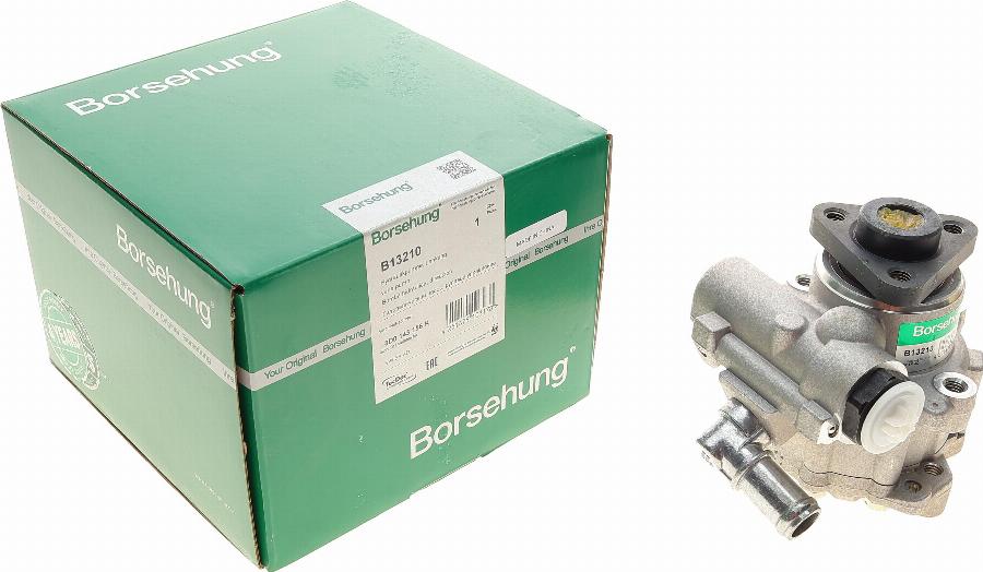 Borsehung B13210 - Hydraulic Pump, steering system car-mod.net