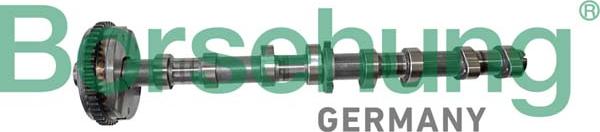 Borsehung B12413 - Camshaft car-mod.net