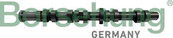 Borsehung B12431 - Camshaft car-mod.net