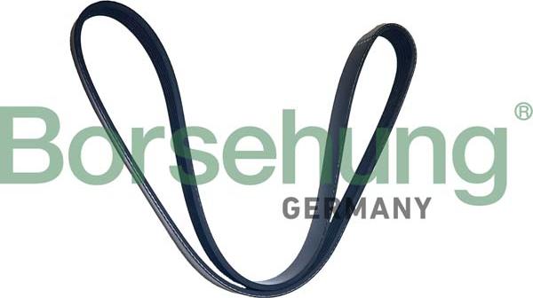 Borsehung B12505 - V-Ribbed Belt car-mod.net