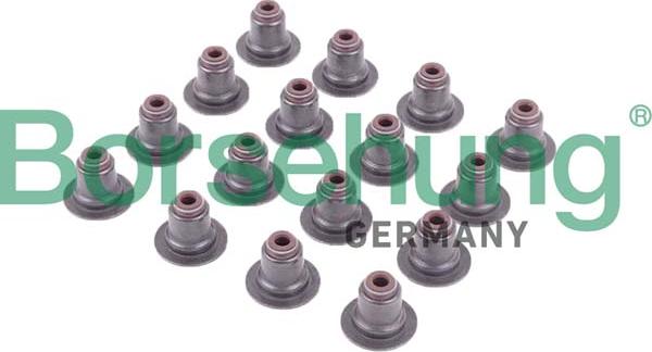 Borsehung B12506 - Seal Ring, valve stem car-mod.net