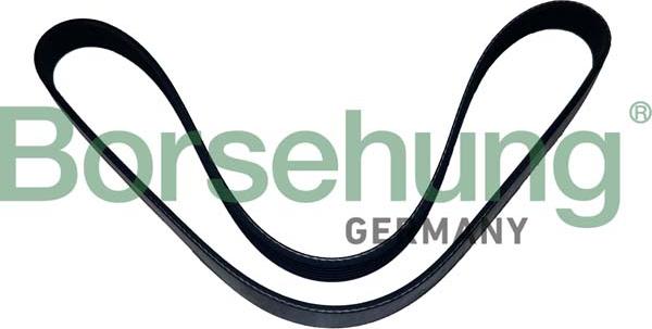 Borsehung B12502 - V-Ribbed Belt car-mod.net