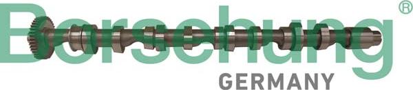 Borsehung B12523 - Camshaft car-mod.net
