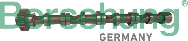 Borsehung B12522 - Camshaft car-mod.net