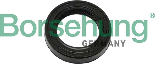 Borsehung B12195 - Shaft Seal, differential car-mod.net