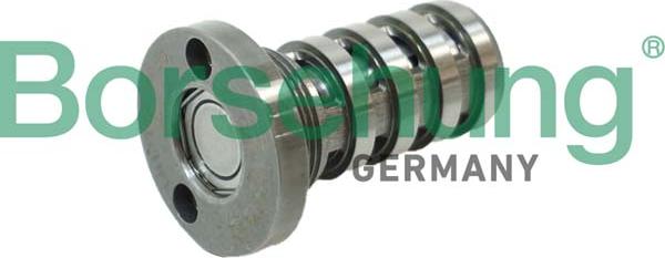 Borsehung B12123 - Central Valve, camshaft adjustment car-mod.net