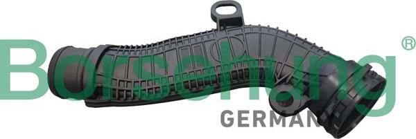 Borsehung B12348 - Hose, crankcase breather car-mod.net