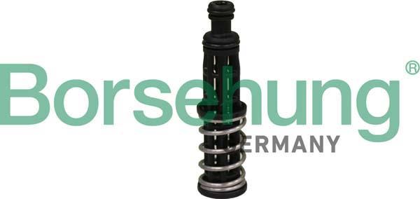 Borsehung B12309 - Oil Pressure Valve car-mod.net
