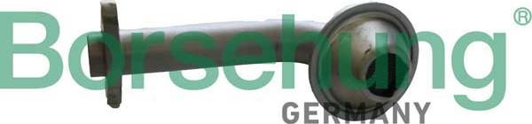 Borsehung B12307 - Strainer, oil pump suction pipe car-mod.net