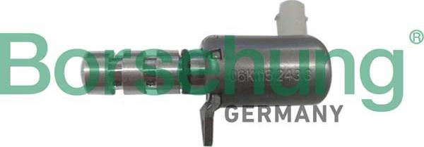 Borsehung B12314 - Oil Pressure Valve car-mod.net