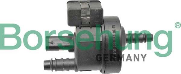 Borsehung B12316 - Valve, activated carbon filter car-mod.net