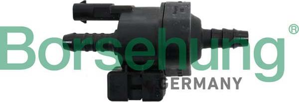 Borsehung B12318 - Valve, activated carbon filter car-mod.net