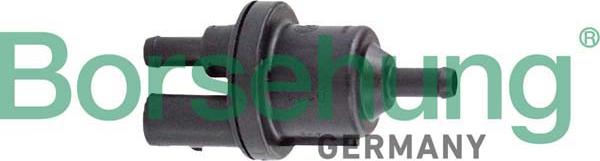 Borsehung B12317 - Valve, activated carbon filter car-mod.net