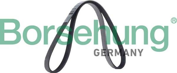 Borsehung B12385 - V-Ribbed Belt car-mod.net