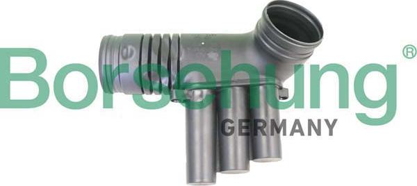 Borsehung B12330 - Intake Hose, air filter car-mod.net
