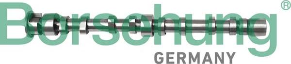 Borsehung B12298 - Camshaft car-mod.net