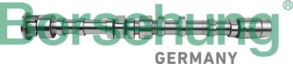 Borsehung B12297 - Camshaft car-mod.net