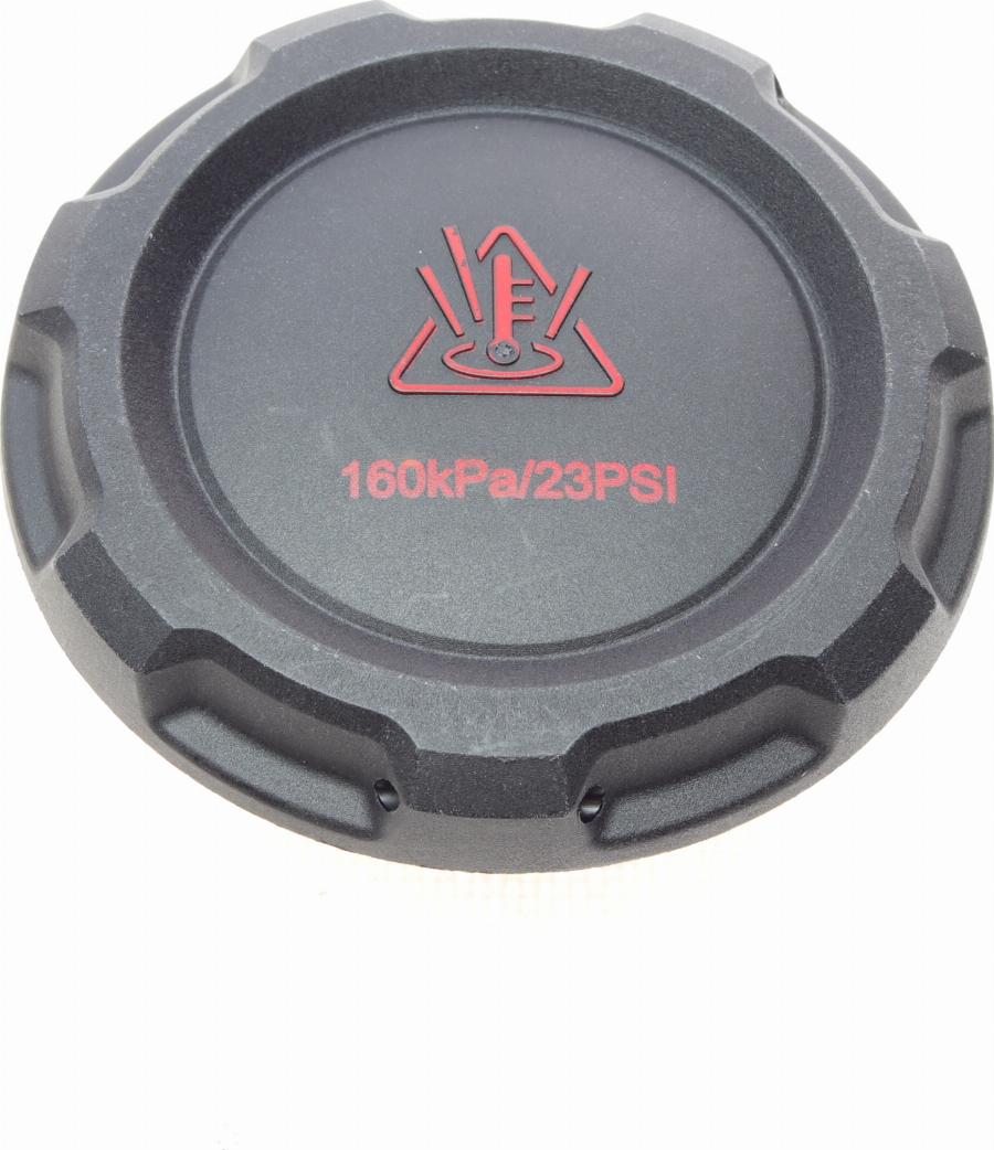 Borsehung B12203 - Sealing Cap, coolant tank car-mod.net