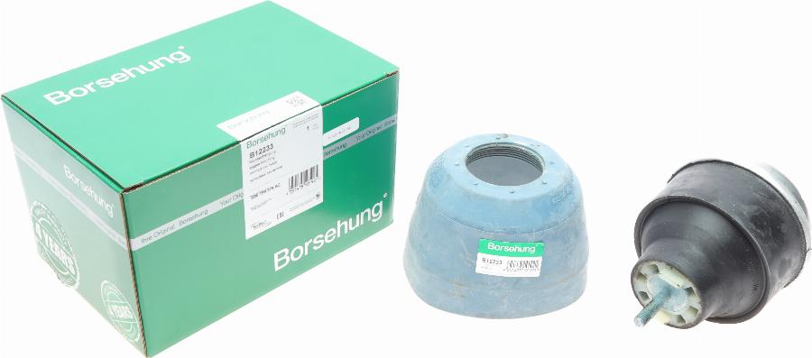Borsehung B12233 - Holder, engine mounting car-mod.net