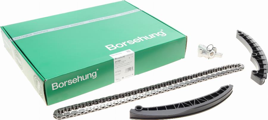 Borsehung B17991 - Timing Chain Kit car-mod.net