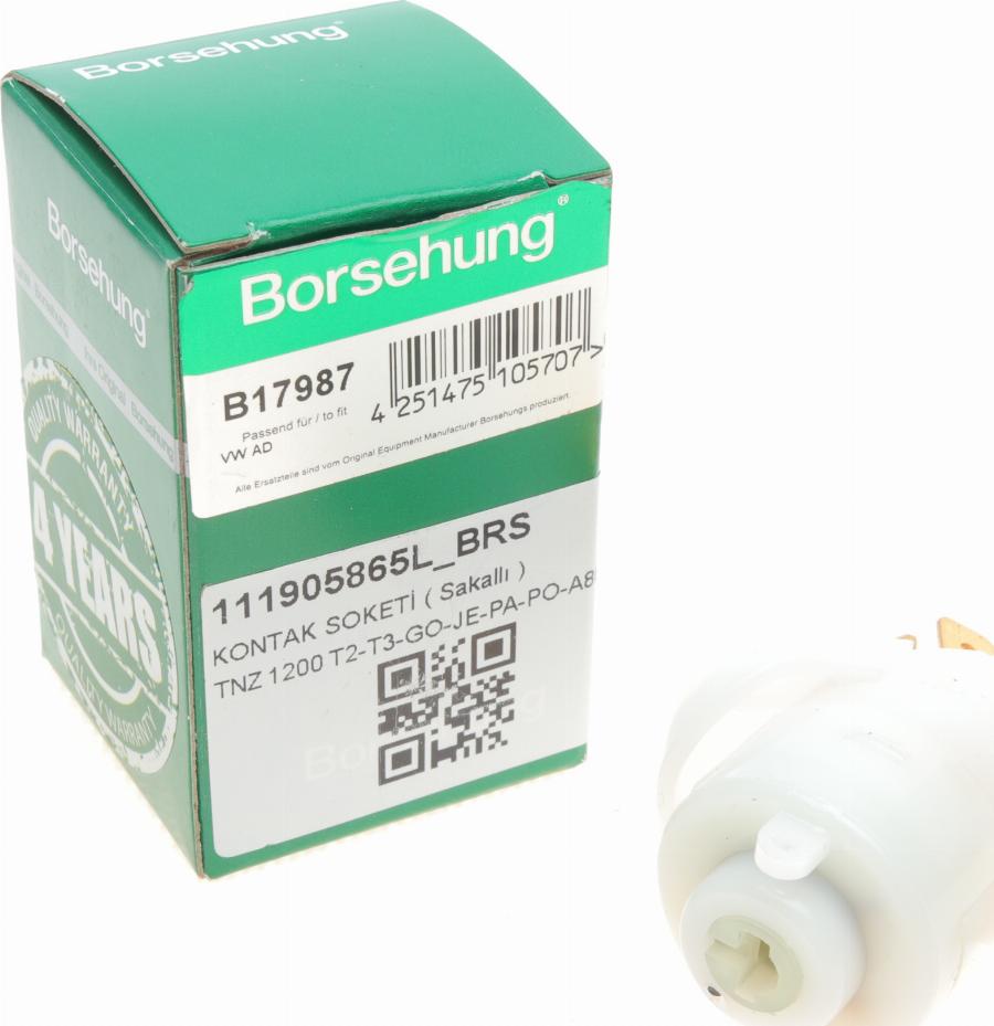Borsehung B17987 - Ignition / Starter Switch car-mod.net