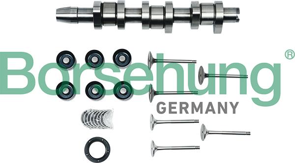 Borsehung B17130 - Repair Kit, intermediate shaft car-mod.net