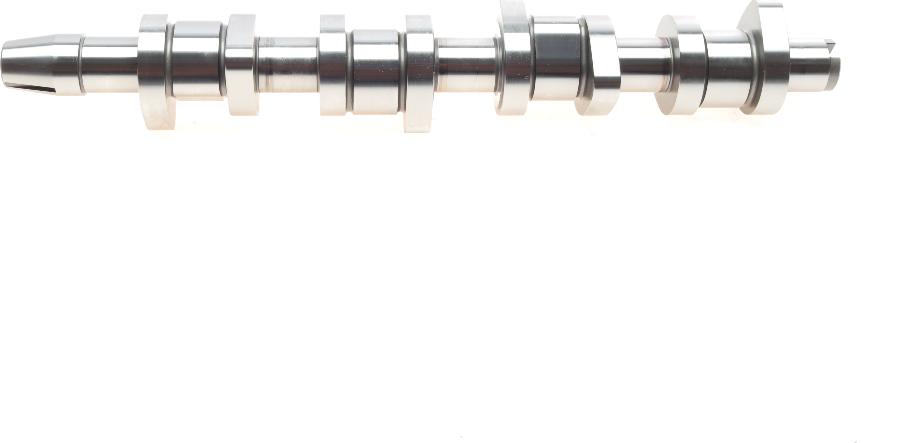 Borsehung B17861 - Camshaft car-mod.net