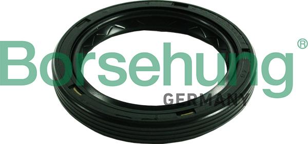 Borsehung B17839 - Shaft Seal, manual transmission flange car-mod.net