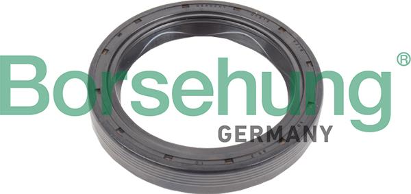 Borsehung B17834 - Shaft Seal, manual transmission flange car-mod.net