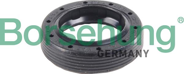 Borsehung B17838 - Shaft Seal, differential car-mod.net