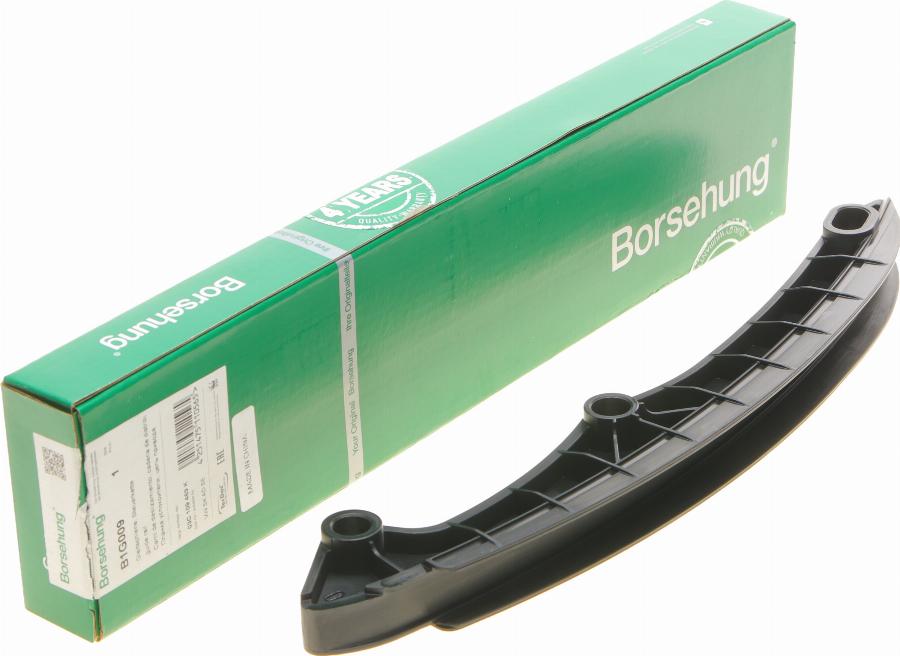 Borsehung B1G009 - Guides, timing chain car-mod.net