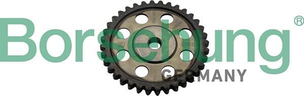 Borsehung B1S013 - Timing Chain Kit car-mod.net
