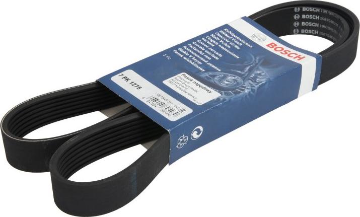 BOSCH 1 987 946 251 - V-Ribbed Belt car-mod.net