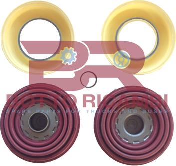 BOTTO RICAMBI BRFR2622 - Repair Kit, brake caliper car-mod.net