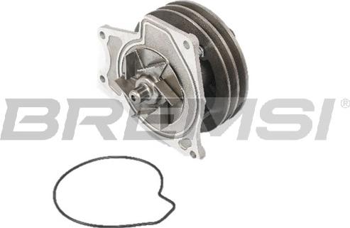 Bremsi WP0501 - Water Pump car-mod.net