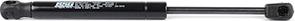 BSG BSG 90-980-005 - Gas Spring, boot, cargo area car-mod.net