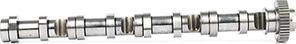 BSG BSG 90-108-009 - Camshaft car-mod.net