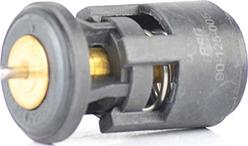 BSG BSG 90-125-005 - Coolant thermostat / housing car-mod.net