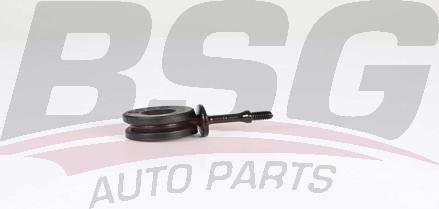 BSG BSG 90-310-205 - Rod / Strut, stabiliser car-mod.net