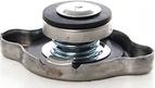 BSG BSG 40-551-001 - Sealing Cap, coolant tank car-mod.net