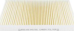 BSG BSG 65-145-011 - Filter, interior air car-mod.net