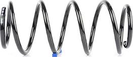 BSG BSG 65-305-006 - Coil Spring car-mod.net