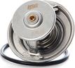 BSG BSG 60-125-002 - Coolant thermostat / housing car-mod.net
